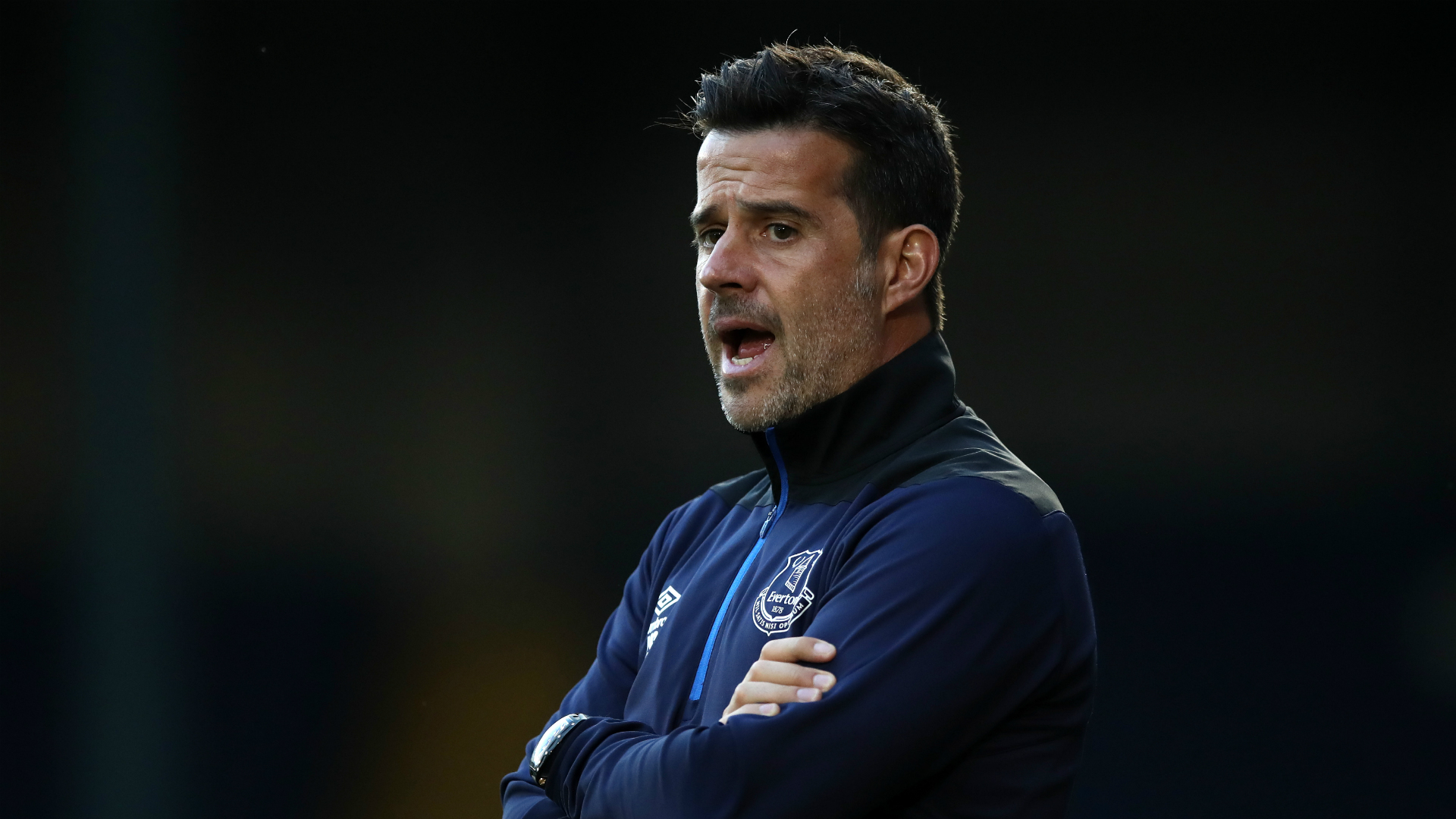 这种非凡的 这种非凡的