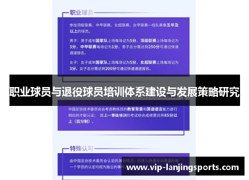 职业球员与退役球员培训体系建设与发展策略研究