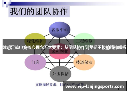 姚明足篮电竞核心理念五大要素：从团队协作到坚韧不拔的精神解析